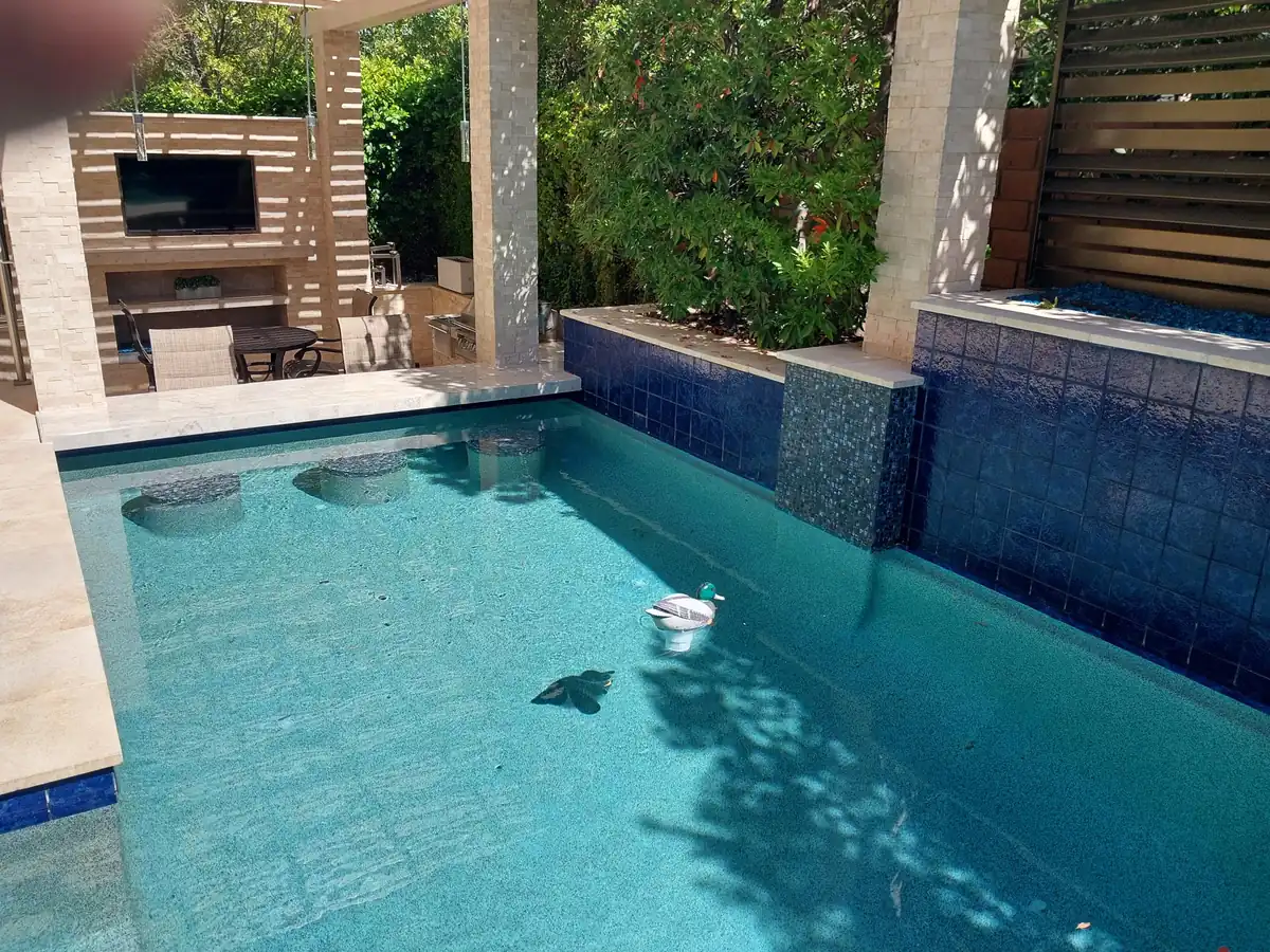 Filled pool and raised spa with a floating dispenser visible in the water.