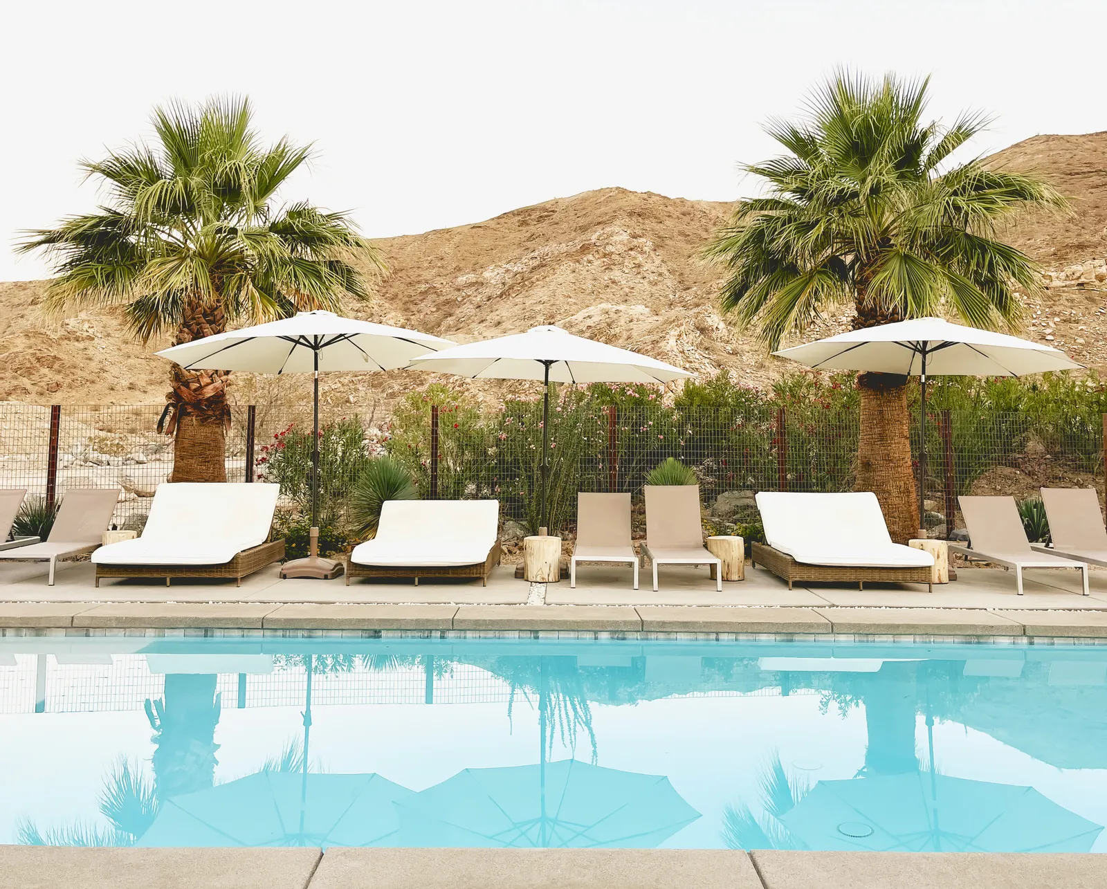 Clear outdoor swimming pool with palms and a desert landscape.