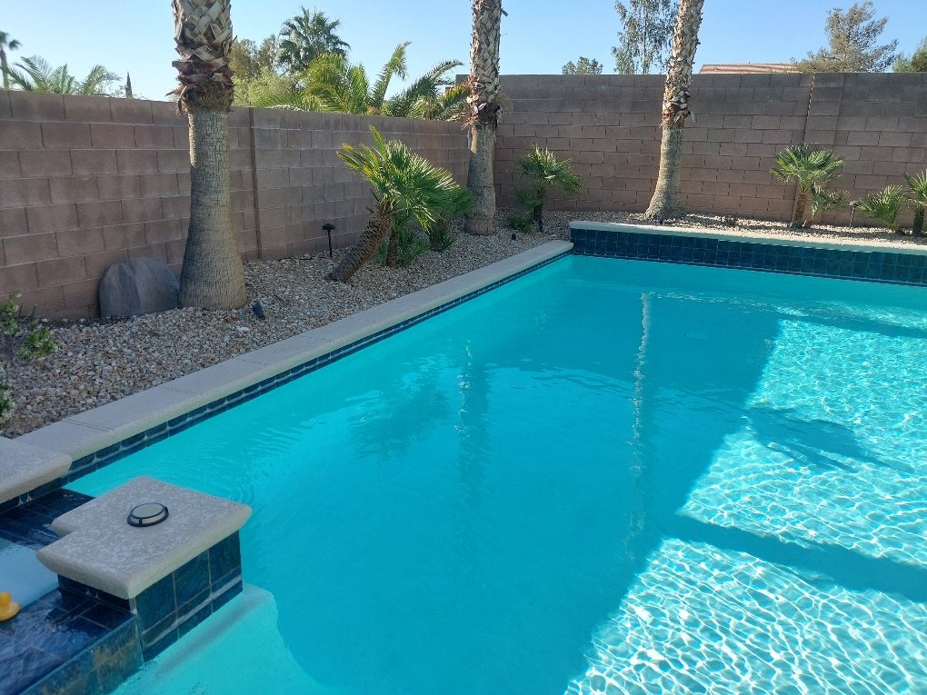 Clear blue backyard pool with a full water line
