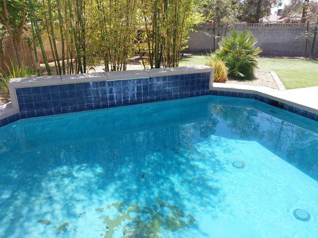Pool with blue tile wall and clear water